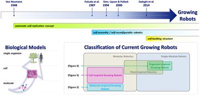 Toward Growing Robots: A Historical Evolution from Cellular to Plant-Inspired Robotics